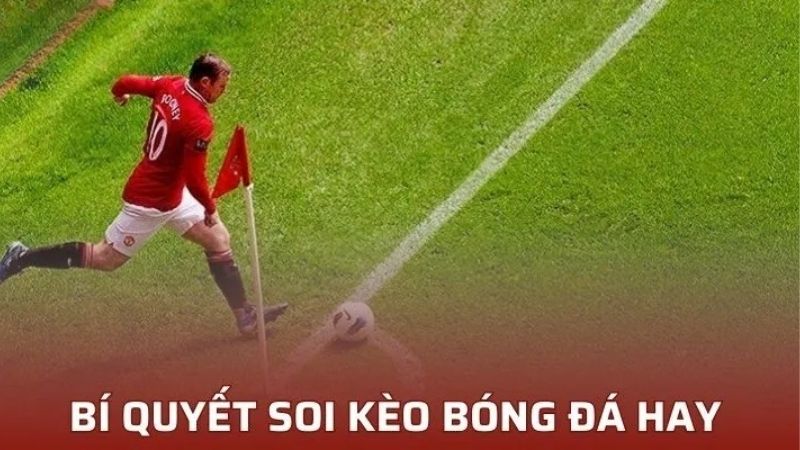 Các yếu tố ảnh hưởng đến quy tắc bắt kèo